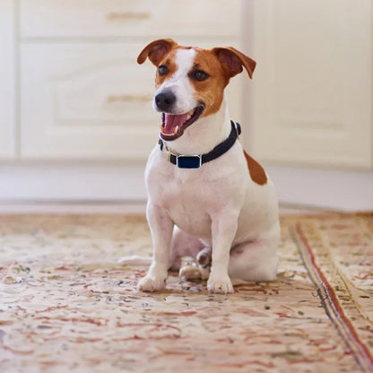 G12 Smart GPS pet tracker: Mini, waterproof, anti - loss collar for dogs & cats