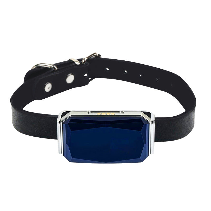 G12 Smart GPS pet tracker: Mini, waterproof, anti - loss collar for dogs & cats